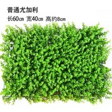 尤加利40*60cm × 1個