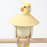 노랑yellow-XS × 1개