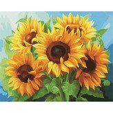 해바라기5송이 × 1개