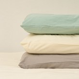 민트리프 × 1개