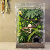 기본투명 × 1세트