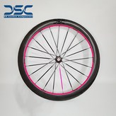 環義冠軍粉,50mm × 1個