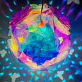 龍鱗滿天星-初櫻15CM × 1個