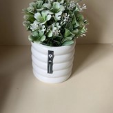 陶瓷花盆綠植 × 1個
