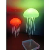 七彩RGB 懸掛 + 亞克力 × 1件