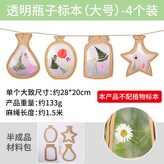 透明瓶子標本(大號)-4個裝 × 1個