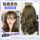 稻香茶色 × 1個
