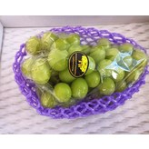 퍼플 31x10 150개 × 1개