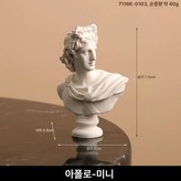 아폴로 미니 × 1개