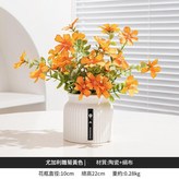 陶瓷盆尤加利雛菊黃色 × 1個