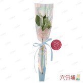 漸層蒂芬妮綠 × 1件