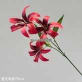 大紅 × 1個