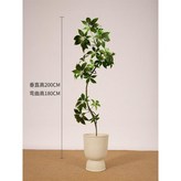 E. 큰잎우산 1.7m +베이지화분(솔풀2팩) × 1개