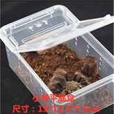小號（透明）飼養盒 × 1個