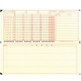 D타입 × 10개