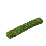 小號-黃花灌木條(1條) × 1個