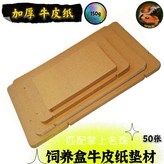 （中號）飼養盒牛皮紙50張 × 1個