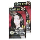 흑갈색 3N
