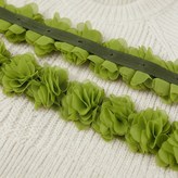 fruit green