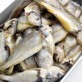 못난이 파굴비 2.0kg 총 40마리 × 1개