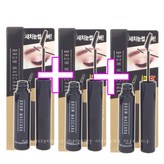 흑갈색 × 3개