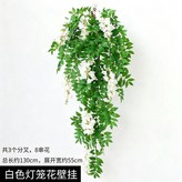 白色 × 1個