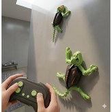 이구아나 × 1개