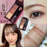 EX-6 적갈색 (일본판)