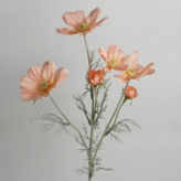 8로맨틱샴페인 × 1개