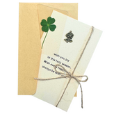 화이트[장미] × 1세트