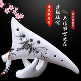 【初學普及款】文竹 × 1個