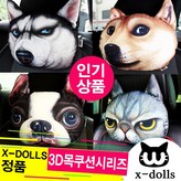 DOGE시바견