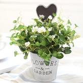 러블리아이비 × 1개