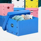 B1 단프라 리빙박스 중형 핑크