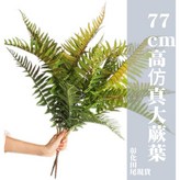 綠紅色 × 1個