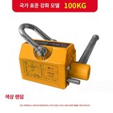 국가 표준 강화형 100KG × 1개