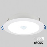 주광색(하얀빛)