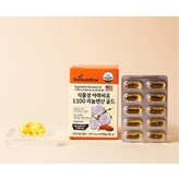 60회분