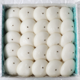 500g × 1개