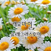 16. 캐모마일f.o x 20ml × 1개