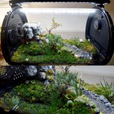 湧生態30*20*15(小) × 1個