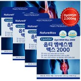 240정