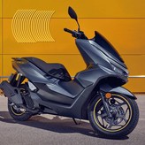 옐로우(Yellow) × 1세트