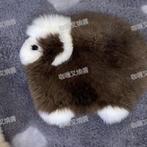 咖啡色,1個（體驗裝) × 1個