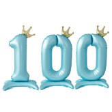숫자100
