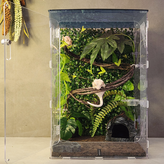 미드나잇 × 1세트