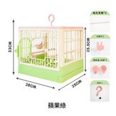 蘋果綠 × 1個