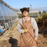 태추단감 4년생 × 1개