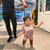 그레이 × 1개