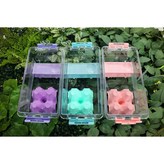 민트 은신처 백업+케이지  (계란판 미포함) × 1세트